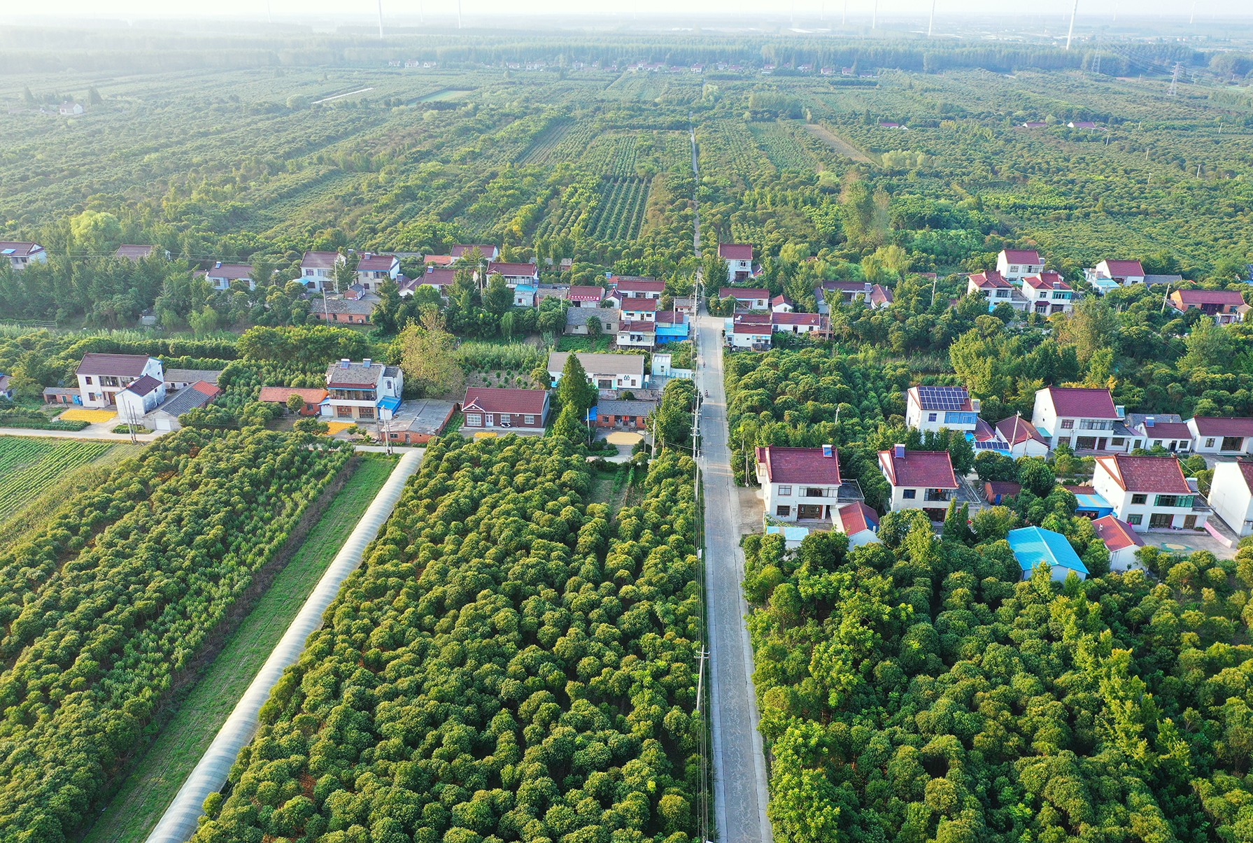  p>三仓镇,隶属于江苏省东台市,是 a target="_blank" href="/item