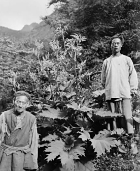 云阳县历史图片