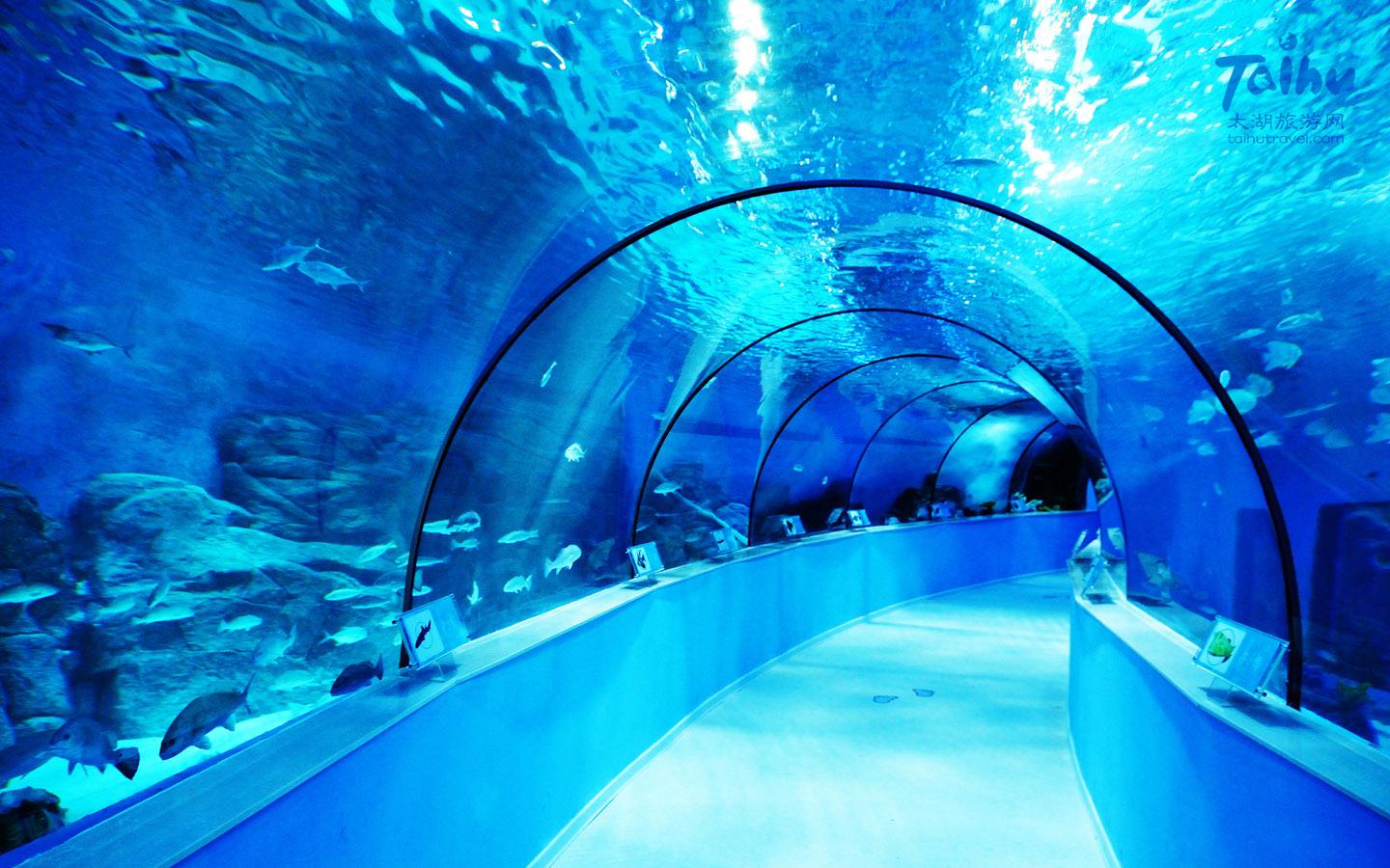 苏州海洋馆