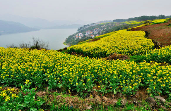 东白湖