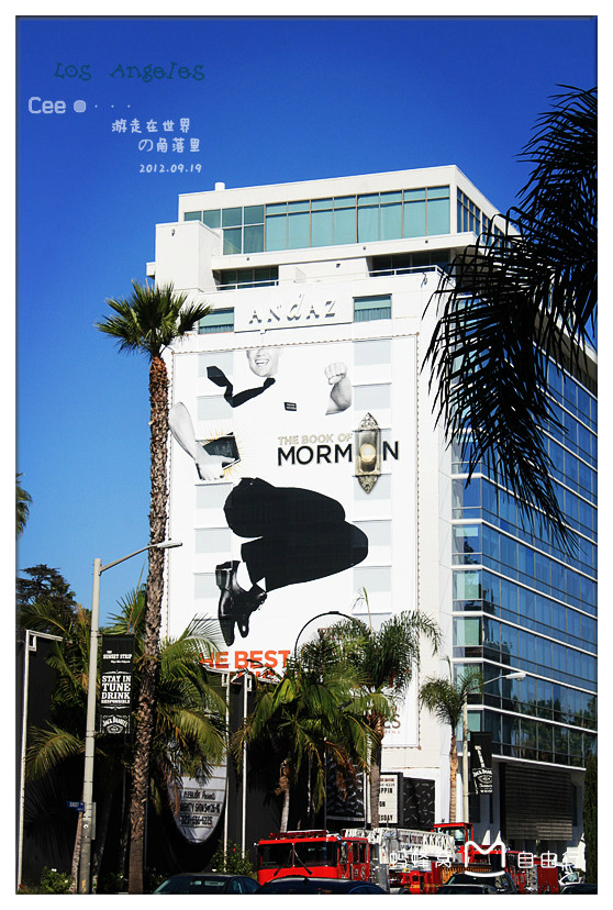 日落大道sunsetboulevard(1950)