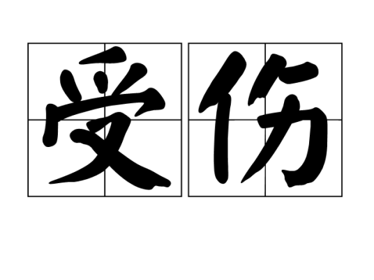 受伤（汉语词语）_百度百科