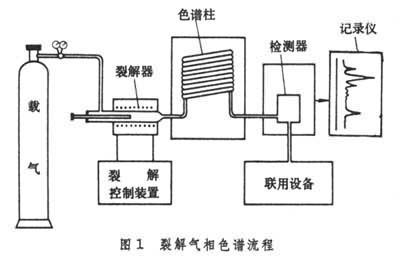 高聚物裂解气相色谱