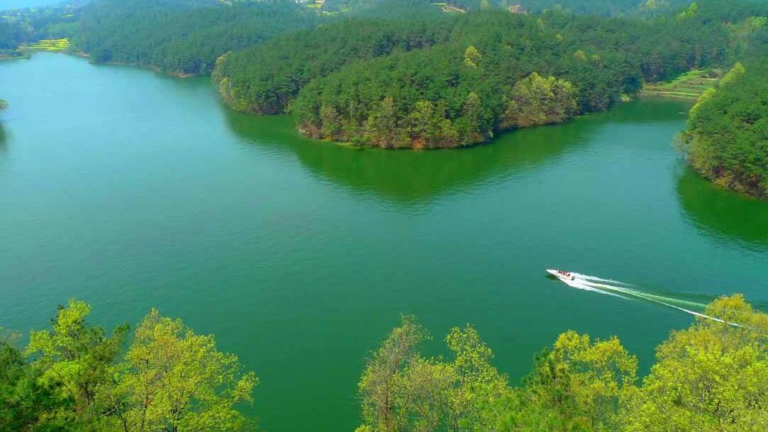 五河县天井湖风景区