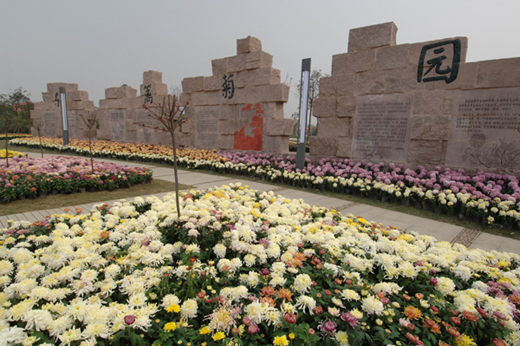  p data-id="gnwkqcdi73">三圣花乡又称三圣花乡观光旅游区,位于 a