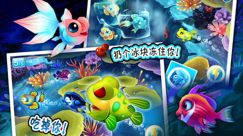 乐乐鱼聚会online