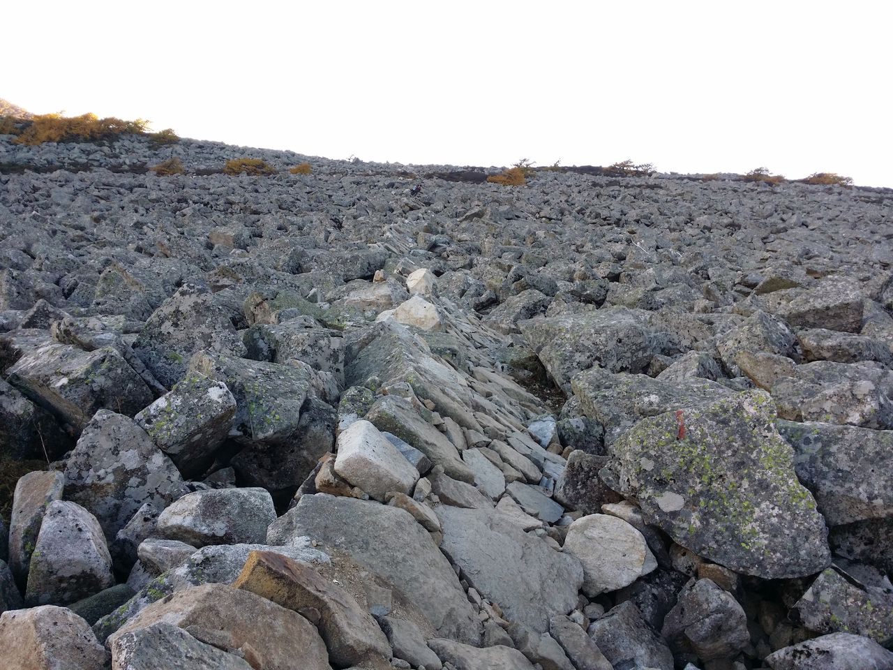  p>冰川遗迹在冰川发生,发展和消亡过程中,直接形成的堆积物和地貌.