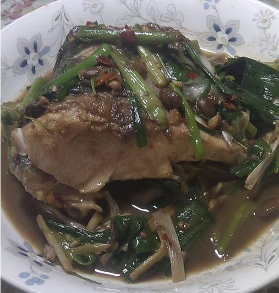 红烧青鱼块 全网资源