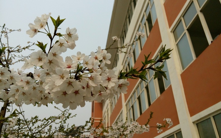 定州市实验中学