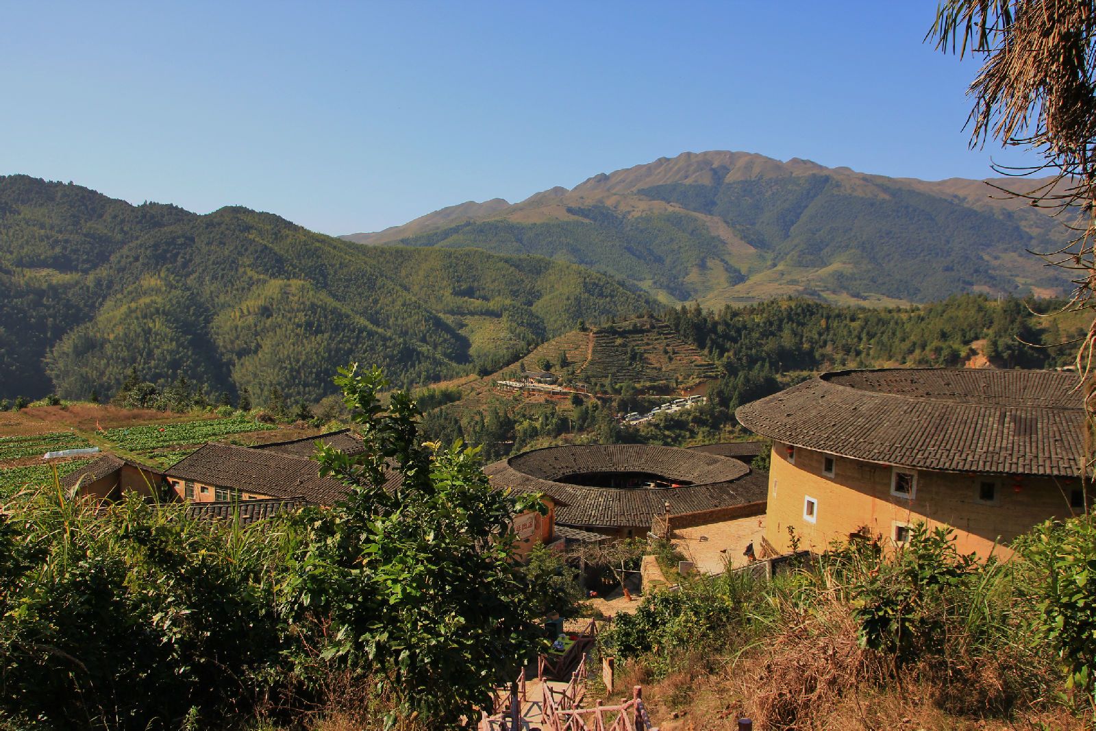  p data-id="gnrs03iqdz">南靖土楼,主要分布在福建省 a target="