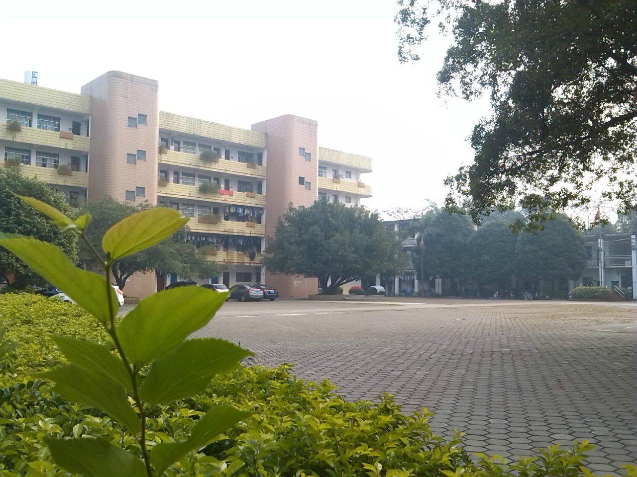  p>贵港市贵糖学校创建于1956年,是一所半封闭式的 a target="_blank"