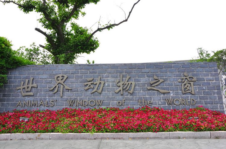  p>扬州世界动物之窗是扬州市的开放综合馆,非洲标本馆,位于蜀冈之上