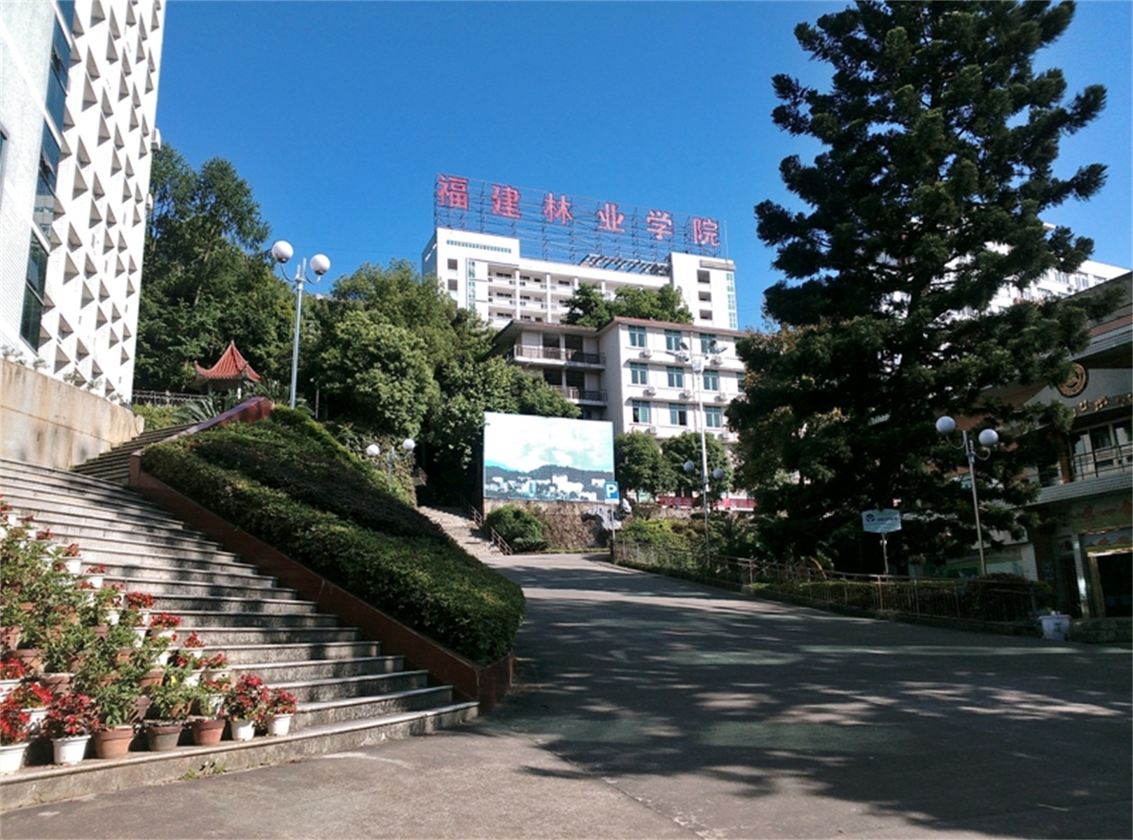 福建林业职业学院