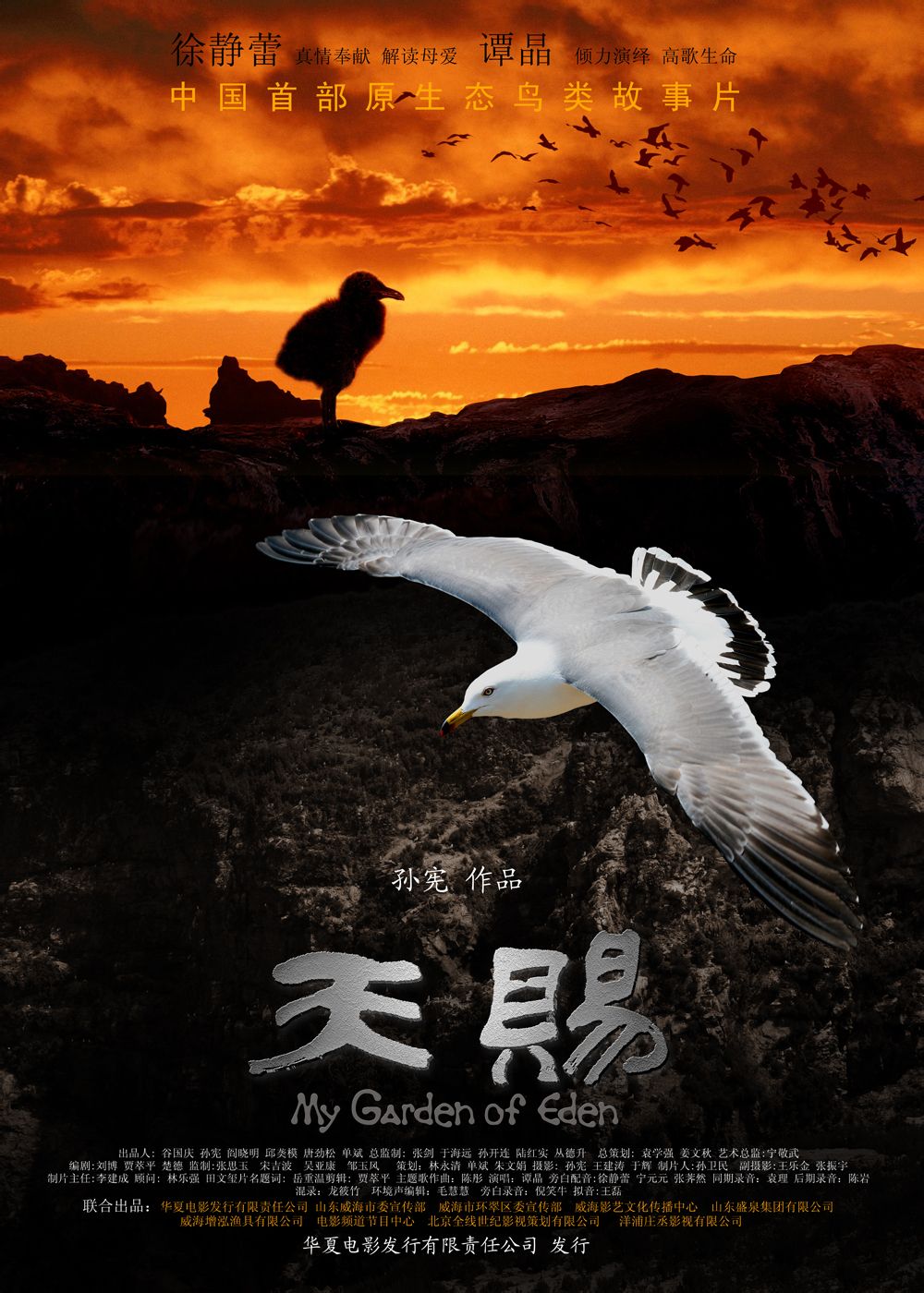  p>《天赐》是由华夏电影发行有限责任公司发行的自然纪录片,由 a