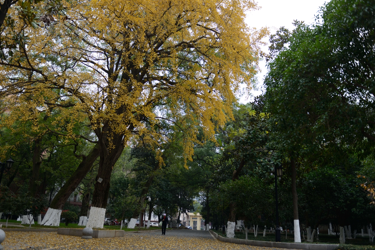  p>南昌市第十中学(no.