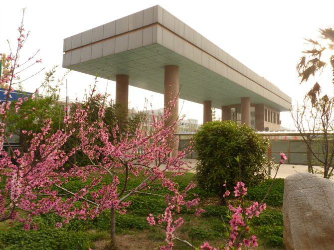 成武县第二中学