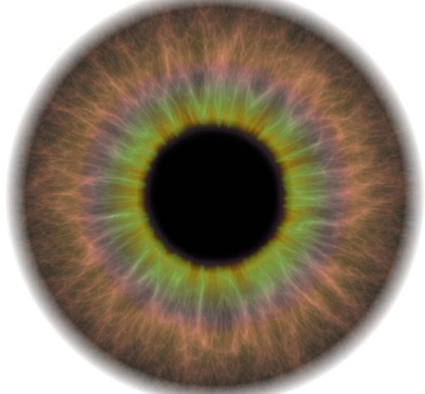  p>碳星是大气层内的碳比 a href="#" data-lemmaid="83765">氧 /a>多