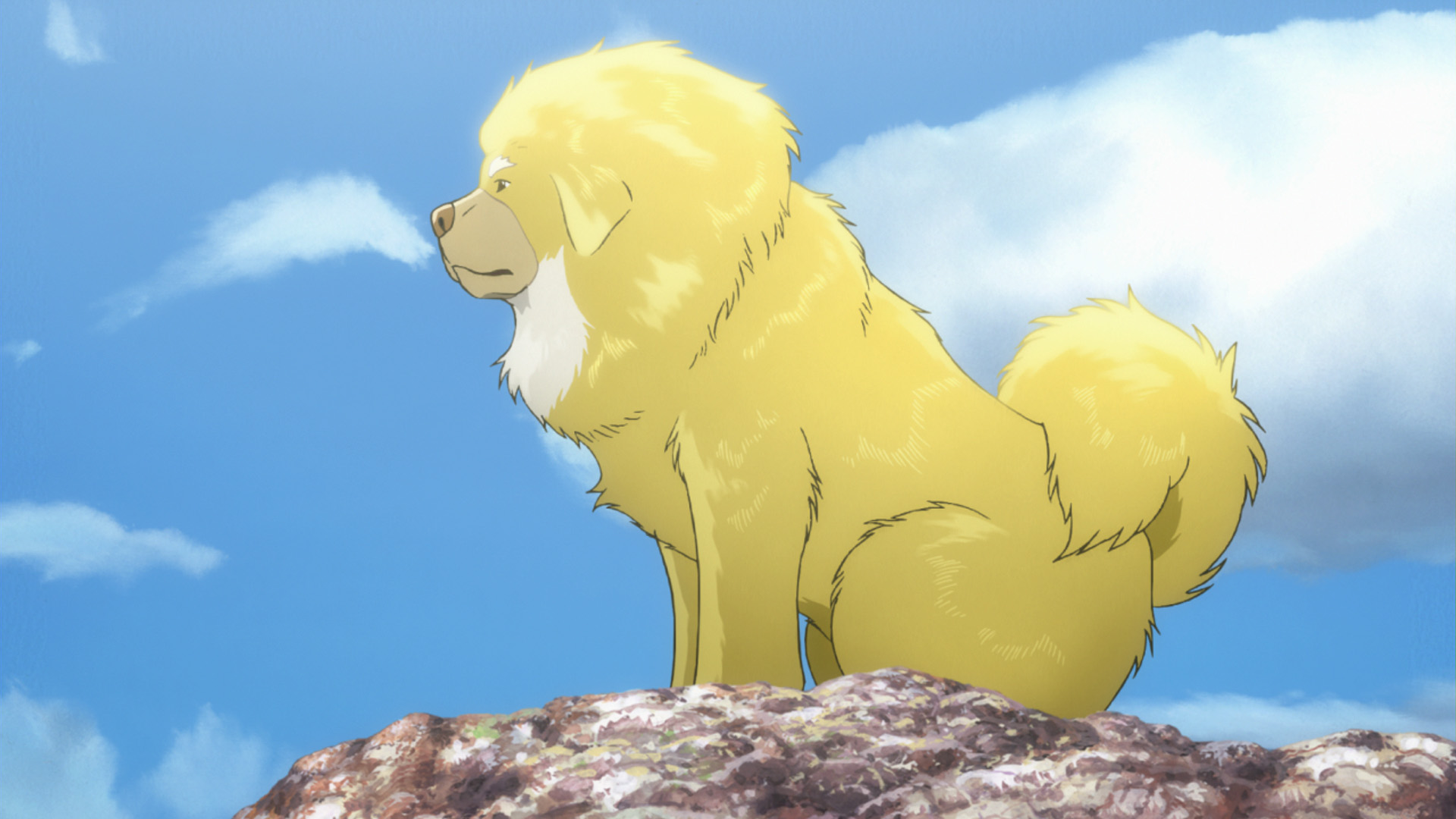  p>《藏獒多吉》是由中日首次合拍的一部动画冒险电影,由 a href="#"