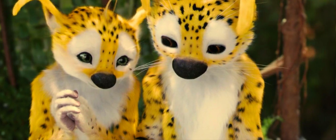 追踪长尾豹马修