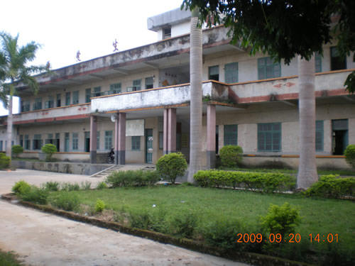 化州市平定镇新华小学