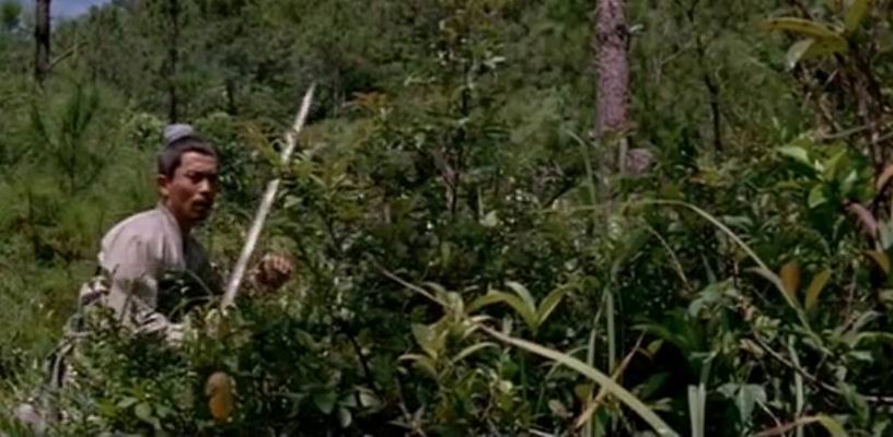  p>《大醉侠》是峨嵋电影制片厂,北京嘉兰影视文化艺术有限责任公司