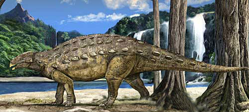  p>厚甲龙(ostrich reptile--鸵鸟般的蜥蜴)比大部分具重甲的恐龙小