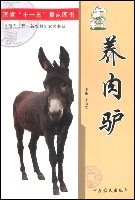 农村开店致富项目介绍(农村开店创业致富好项目)