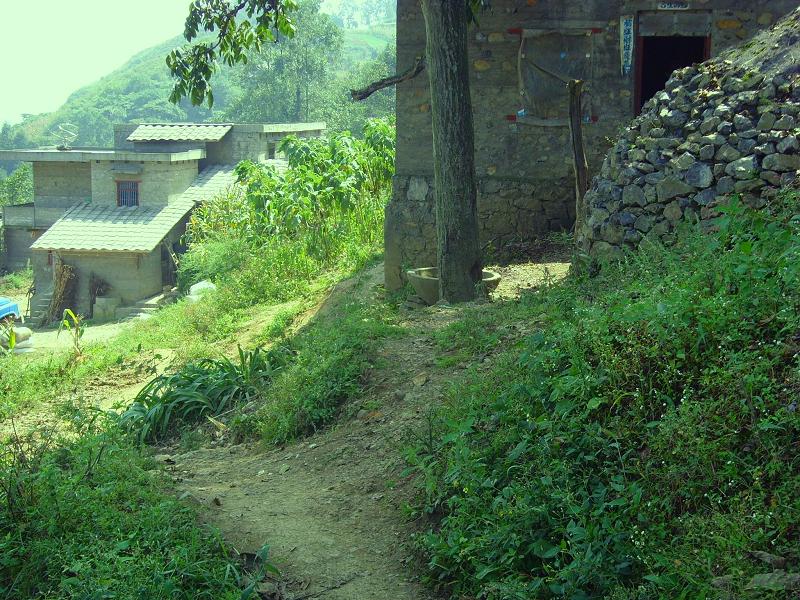  p data-id="gnwtwwab6u">元坪村隶属大关县寿山乡,地东邻小河,南邻