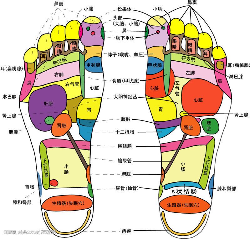 健尔马足疗机