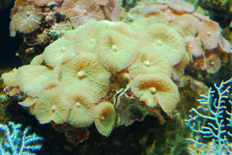 1公顷,建筑面积18,100平方米,由梦幻海洋,珊瑚海,南海龙宫,魔幻奇宫