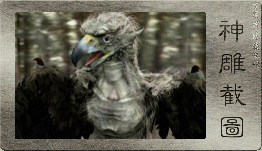 《 a target="_blank" href="/item/神雕侠侣/5682" data-lemmaid="