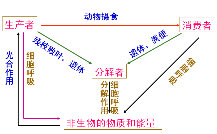 tzmk0y"> b>人类生态系统是 /b>居民与生存环境相互作用的网络结构