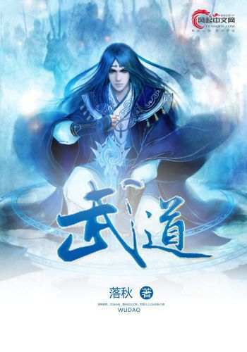武道 风起中文网作者落秋创作的小说 百度百科