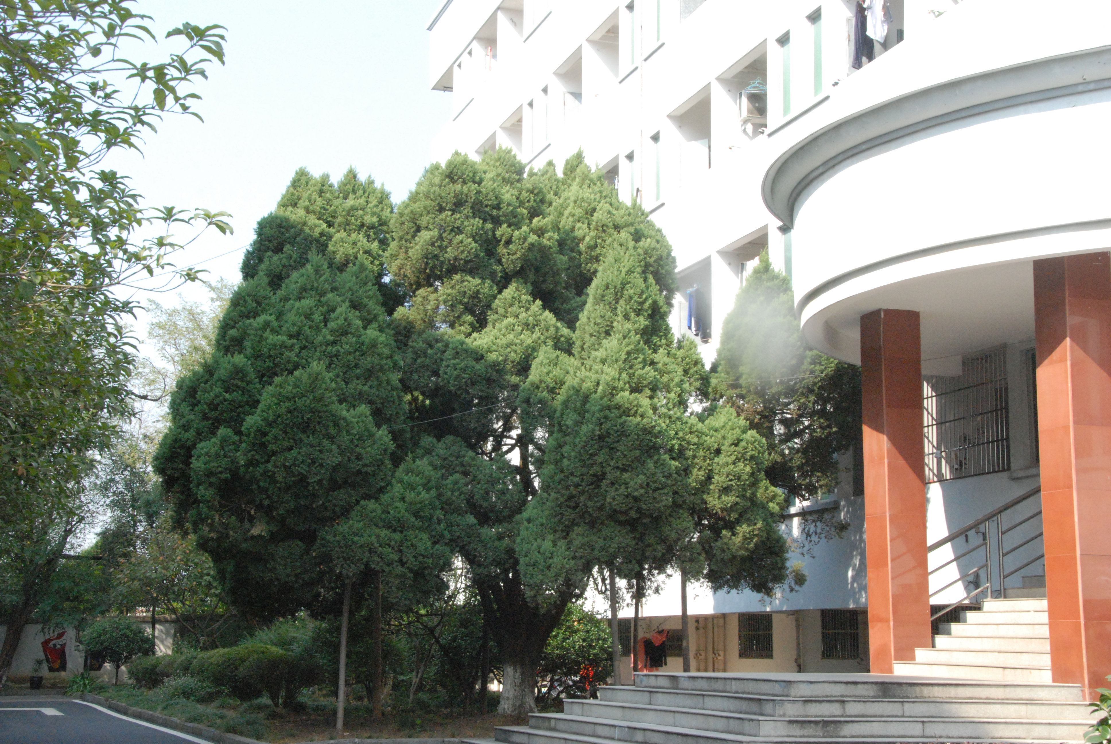 义乌市上溪中学