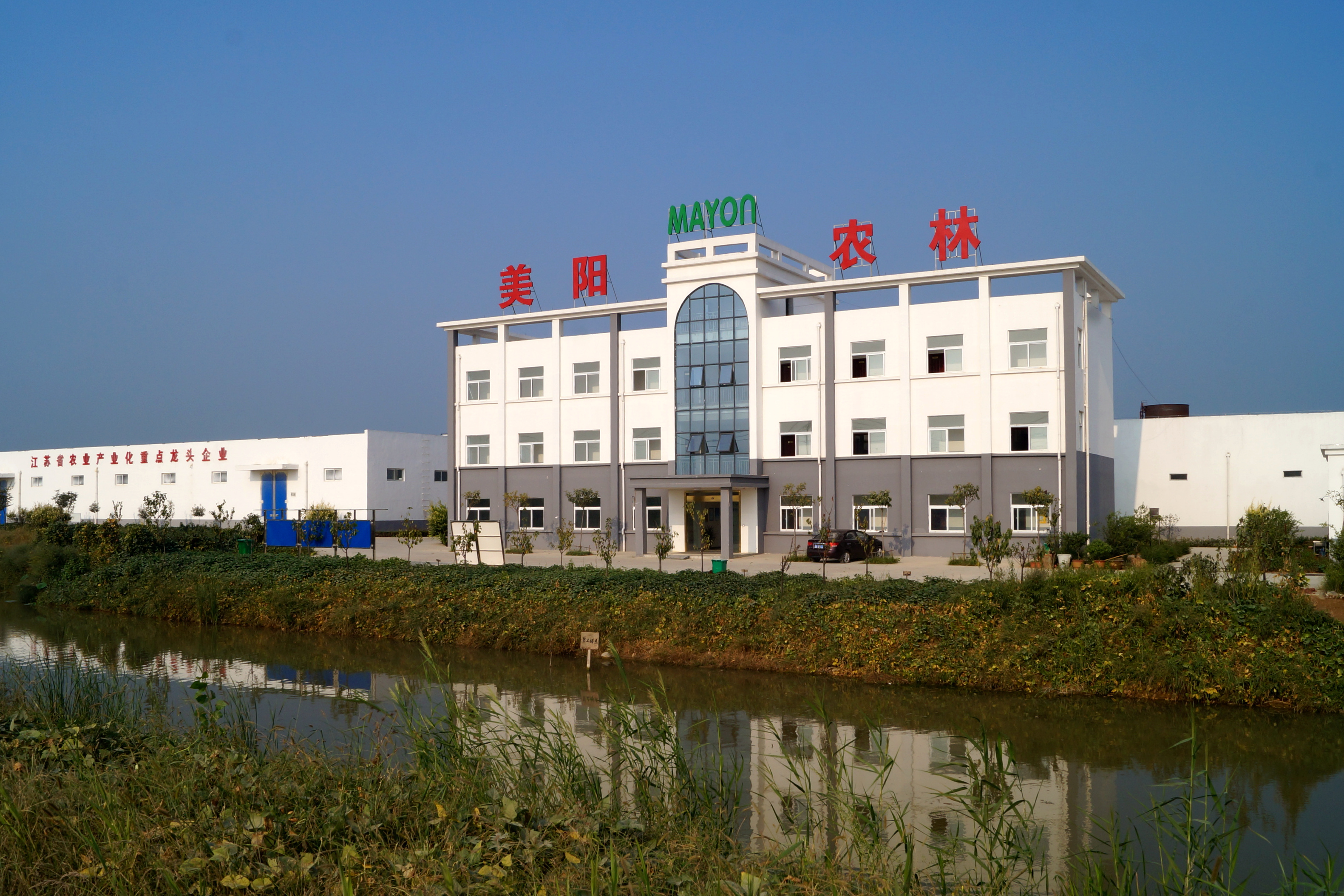  p>双沟镇, a target="_blank" href="/item/江苏省/320938" data