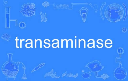 transaminase_百度百科