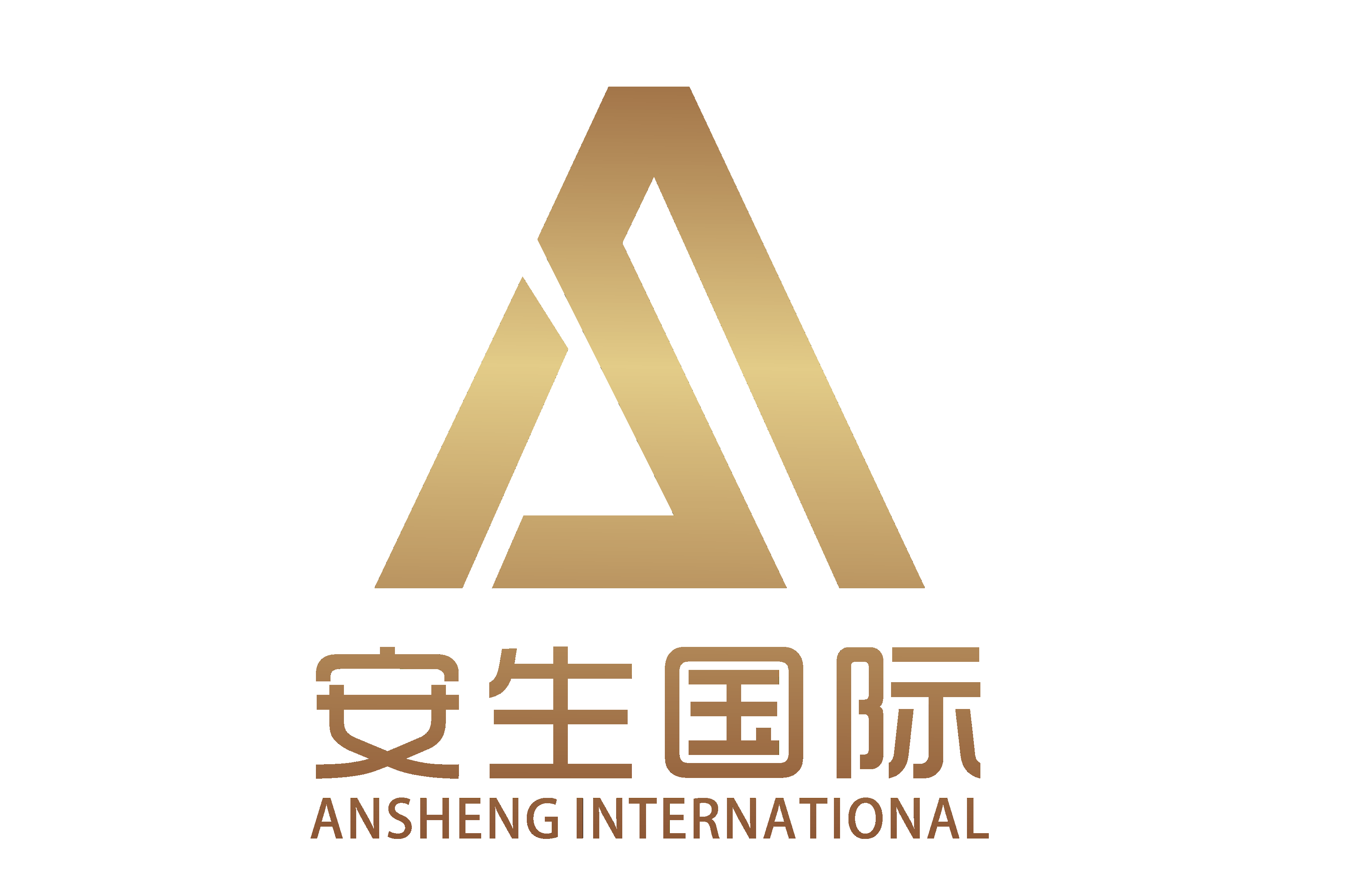 安生国际商务(北京)有限公司