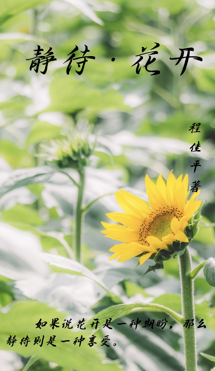 生命中的两个女人