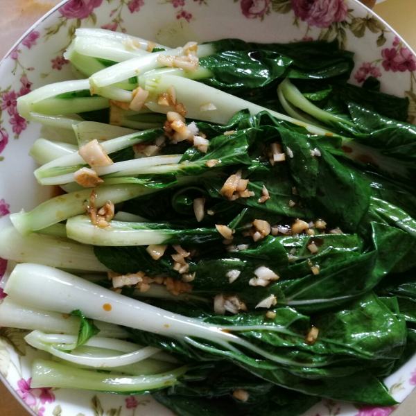 白灼青菜 全网资源