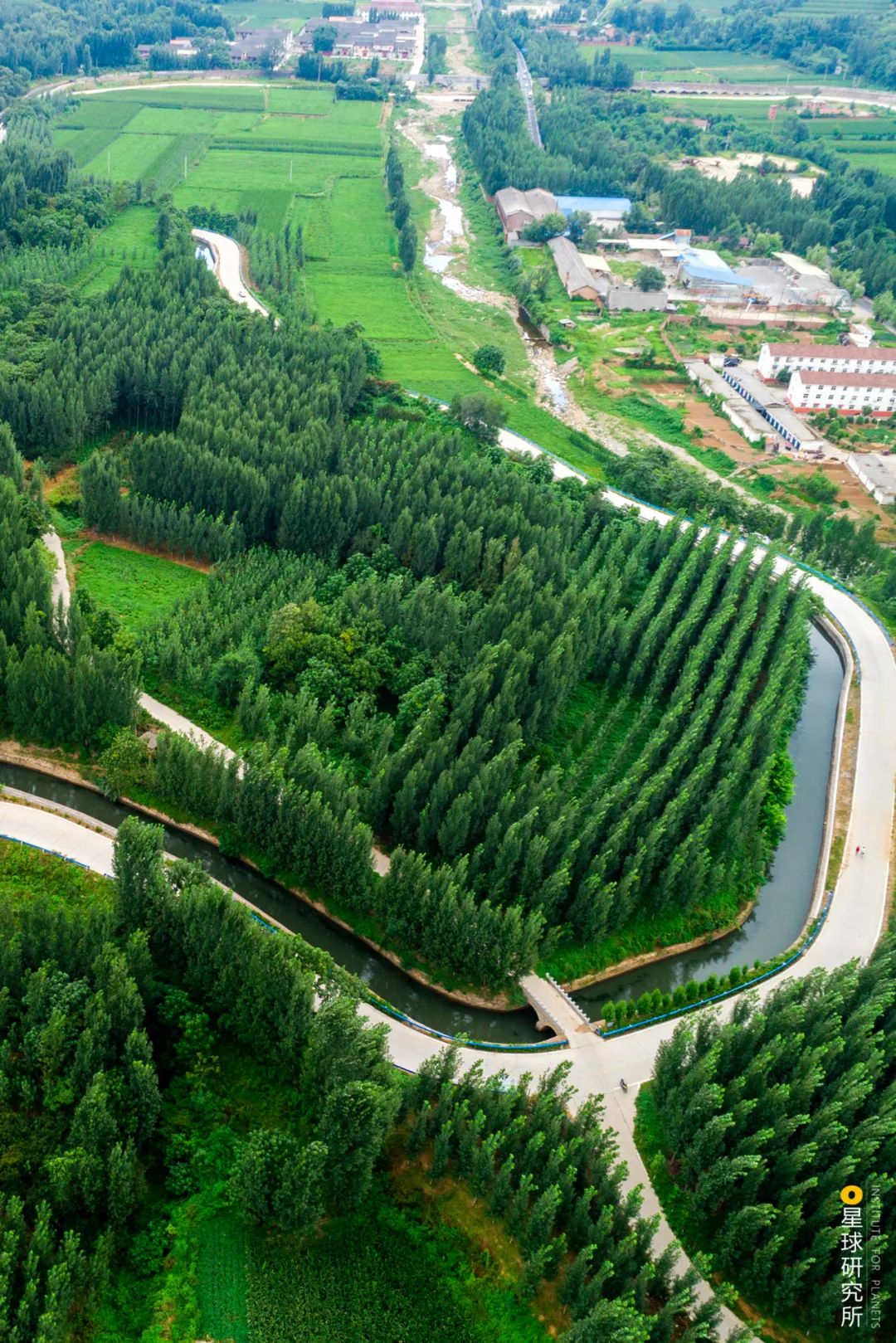 植树造林，如何改变中国？_百科TA说