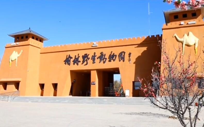 榆林野生动物园