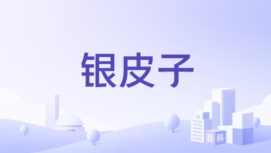 银皮子_百度百科