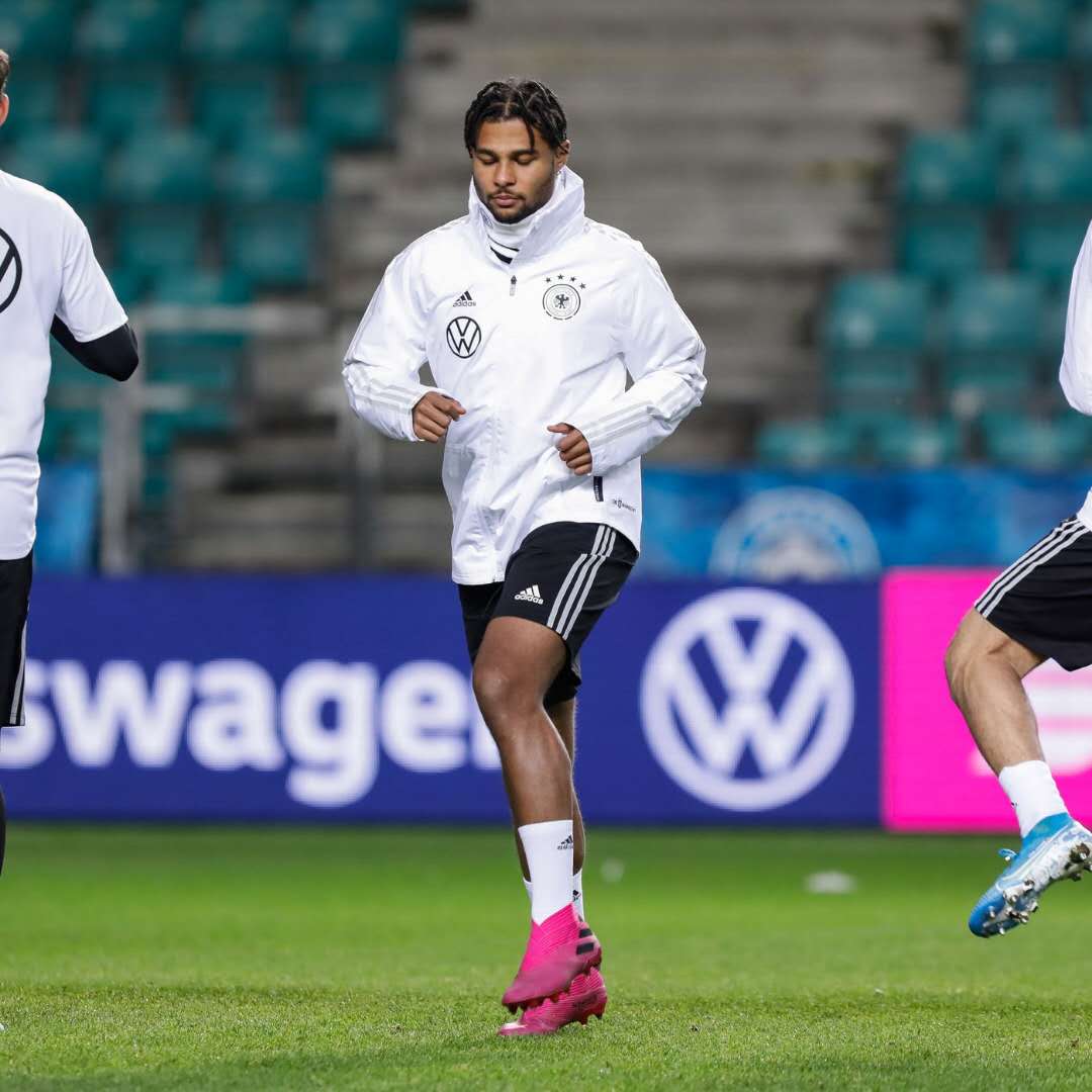 塞尔吉·格纳布里