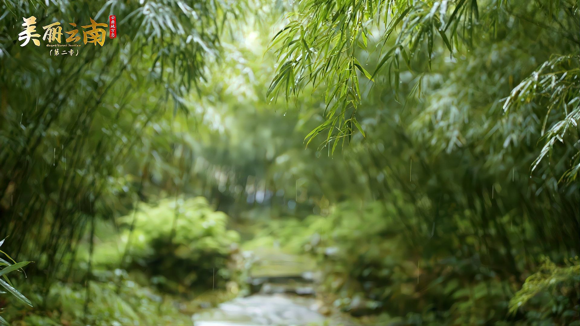 筇竹与中国传统文化|美物：筇竹_科星球_百度百科