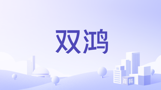 双鸿（商品品牌）_百度百科