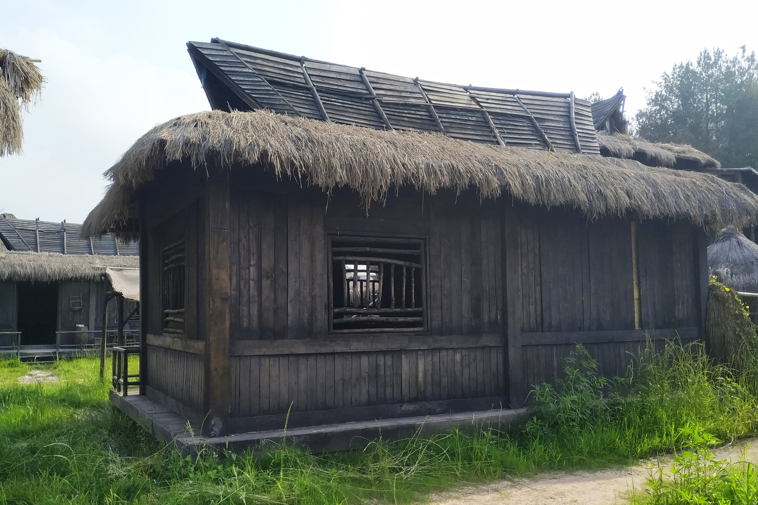 红树林影视基地