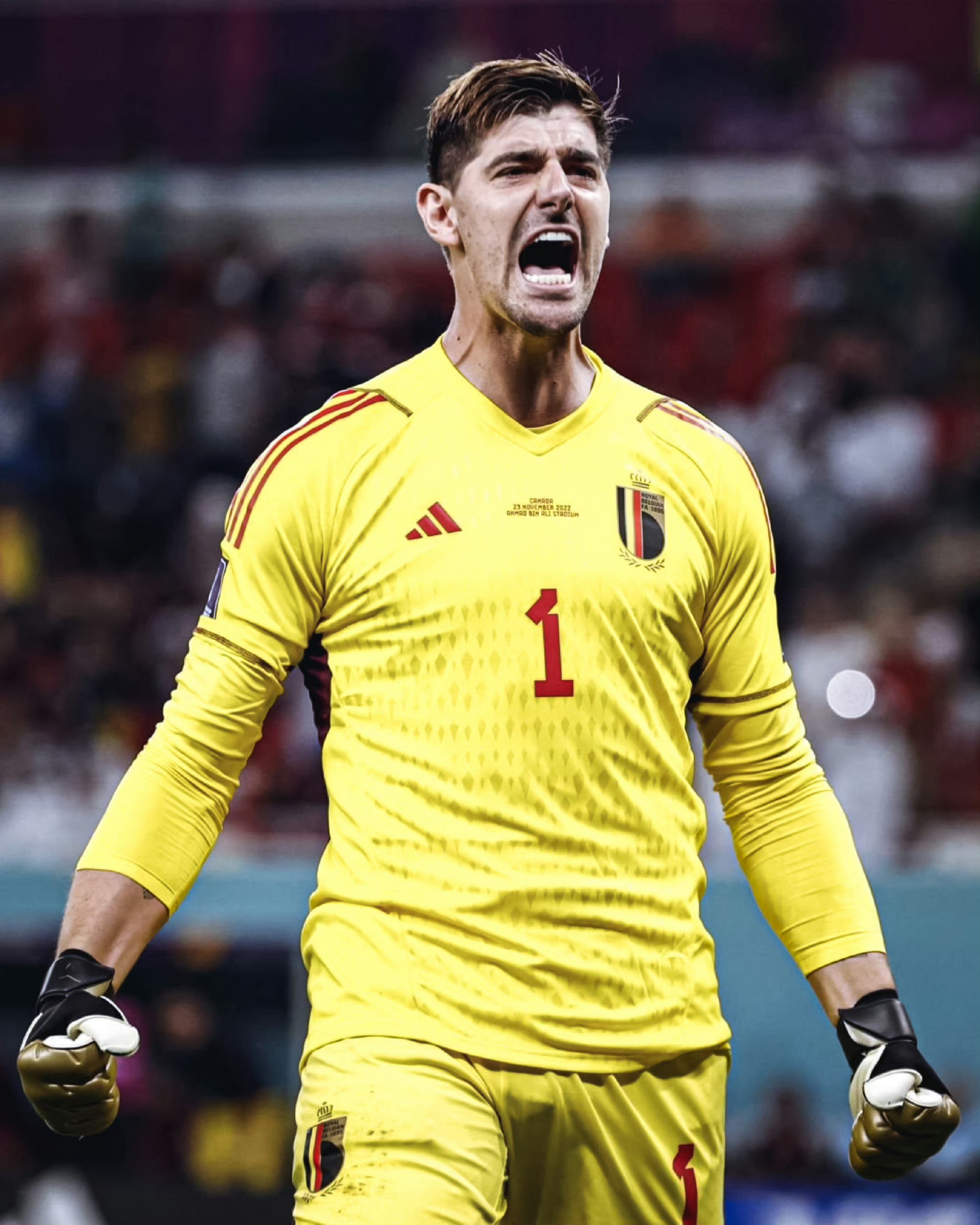 蒂博·库尔图瓦