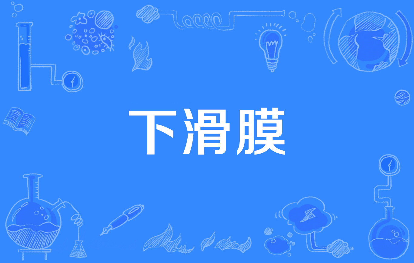  p>下滑膜(inferior synovial membrane)是2014年公布的人体解剖学