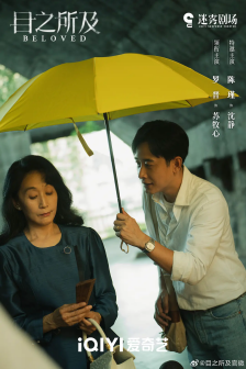 目之所及（2025年毛鲲宇执导的悬疑剧）_百度百科