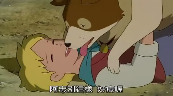 佛兰德斯的狗